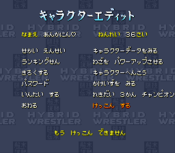 船木誠勝HYBRID WRESTLER 闘技伝承 - 「SFCのゲーム制覇しましょ